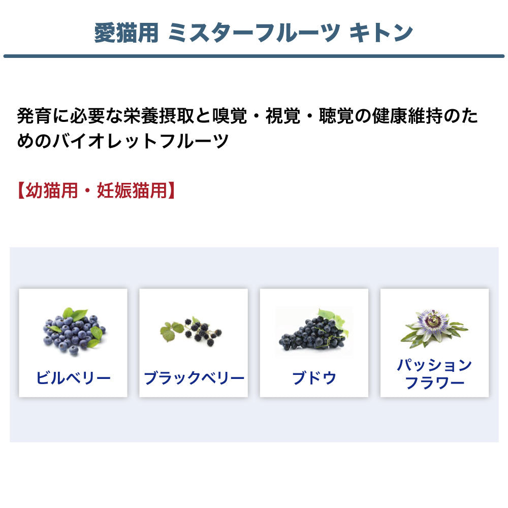 フォルツァ10 ミスターフルーツ キトン 400g 猫 フード キャットフード ドライ 猫用フード エサ 幼猫 妊娠猫 フォルツァ ディエチ FORZA10