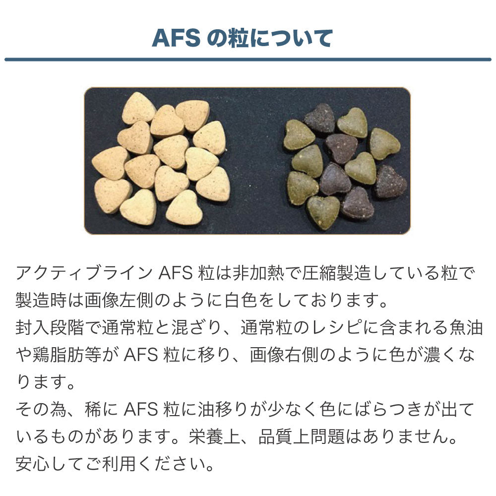 フォルツァ10 デイリーベト ドッグ 2kg 犬 フード ドッグフード シニア 健康維持 犬用 フード ドライ 小粒 療法食 フォルツァ ディエチ FORZA10