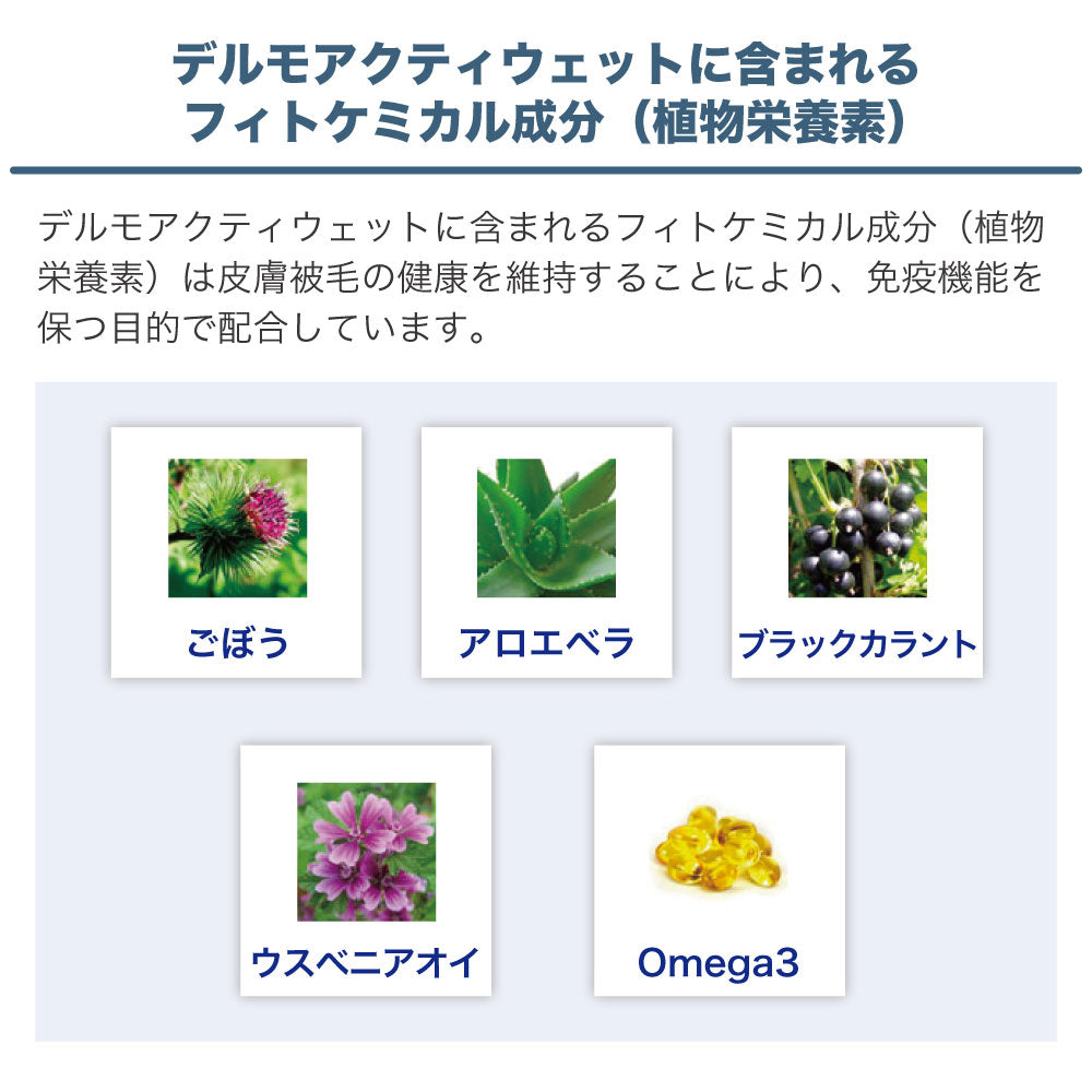 フォルツァ10 デルモ アクティウェット ドッグ 100g 犬 フード ドッグフード 皮膚ケア 犬用 フード ウェット 療法食 フォルツァ ディエチ FORZA10