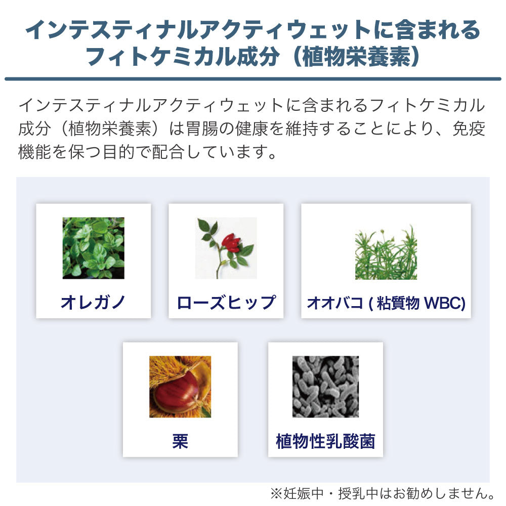 フォルツァ10 インテスティナル アクティウェット ドッグ 100g 犬 フード ドッグフード 皮膚ケア 犬用 フード ウェット 療法食 フォルツァ ディエチ FORZA10