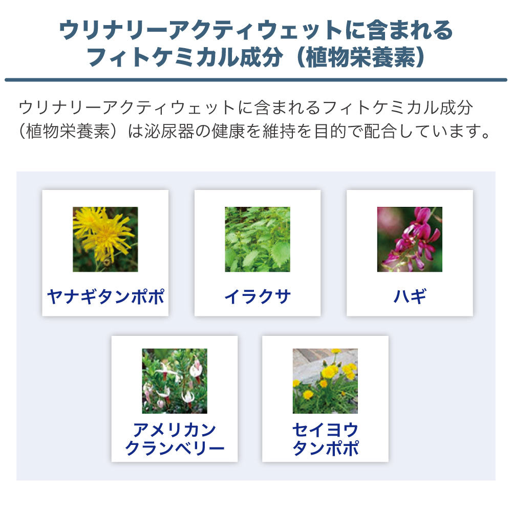 フォルツァ10 ウリナリー アクティウェット キャット 100g 猫 フード キャットフード 泌尿器ケア 猫用 フード ウェット 療法食 フォルツァ ディエチ FORZA10