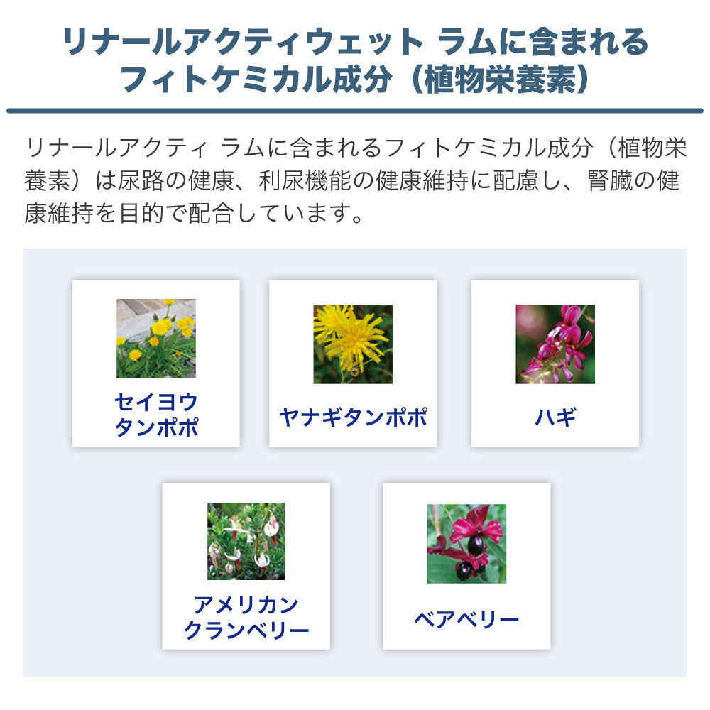 フォルツァ10 リナール アクティウェット ラム 100g 猫 フード キャットフード 腎臓ケア 猫用 フード ウェット 療法食 フォルツァ ディエチ FORZA10