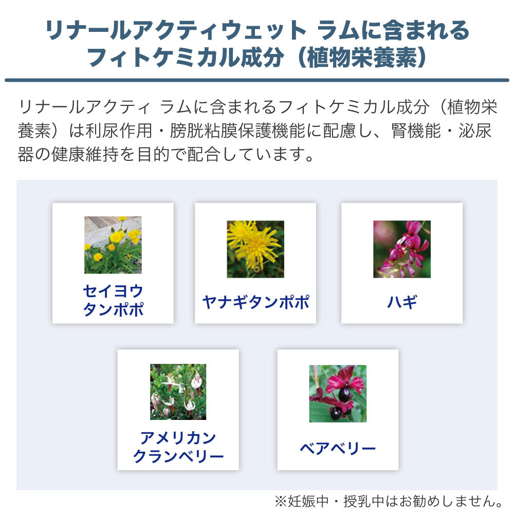 フォルツァ10 リナール アクティウェット ラム ドッグ 100g 犬 フード ドッグフード 腎臓ケア 犬用 フード ウェット 療法食 フォルツァ ディエチ FORZA10