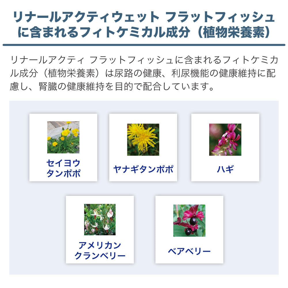 フォルツァ10 リナール アクティウェット フラットフィッシュ 100g 猫 フード キャットフード 腎臓ケア 猫用 フード ウェット 療法食 FORZA10
