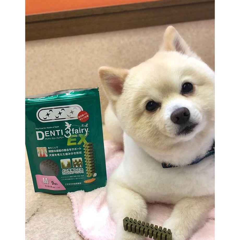 フォーキャンス デンティ・スリー フェアリー EX M 9個入 犬 歯みがき ガム 犬用 デンタル おやつ スナック 歯石 歯垢 対策 クロレラ ビタミン