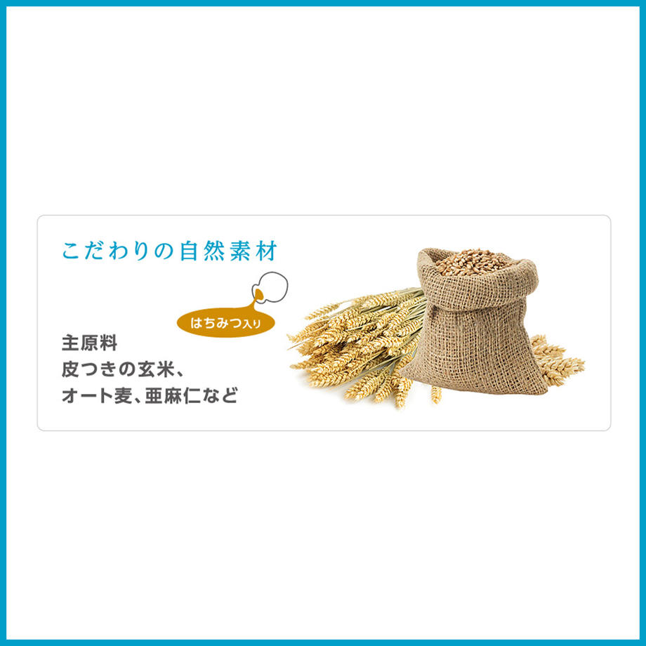フォーキャンス デンティ・スリー フェアリー 徳用S 21個入 犬 歯みがき ガム 犬用 デンタル おやつ スナック 歯石 歯垢 対策