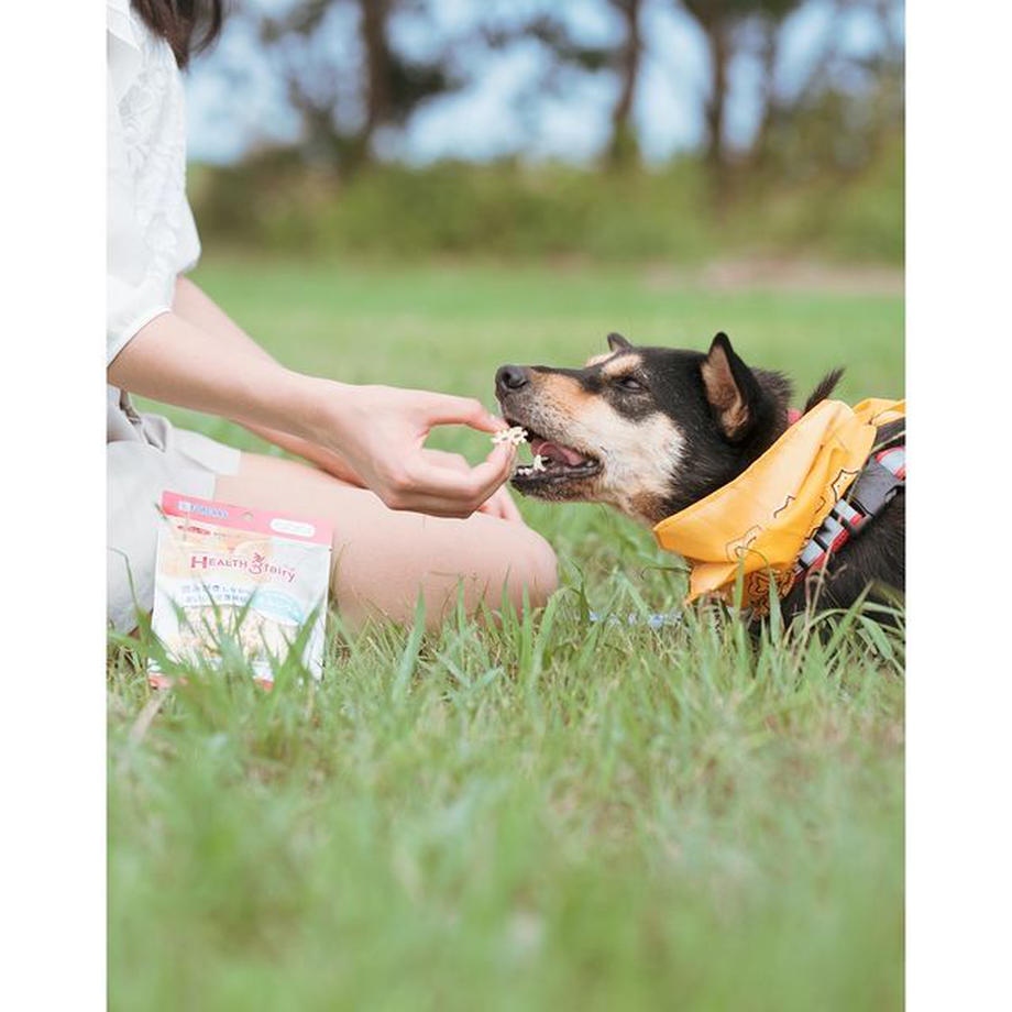 フォーキャンス ヘルス・スリー フェアリー オメガ3 バター味 60g 犬 歯みがき ガム 犬用 デンタル おやつ スナック 歯石 歯垢 対策 しつけ ごほうび