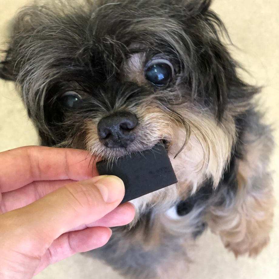フォーキャンス ニュートリショントリーツ 皮膚 & 被毛 240g 犬 おやつ 健康 犬用 スナック 毛つや 栄養 オメガ脂肪酸 個包装