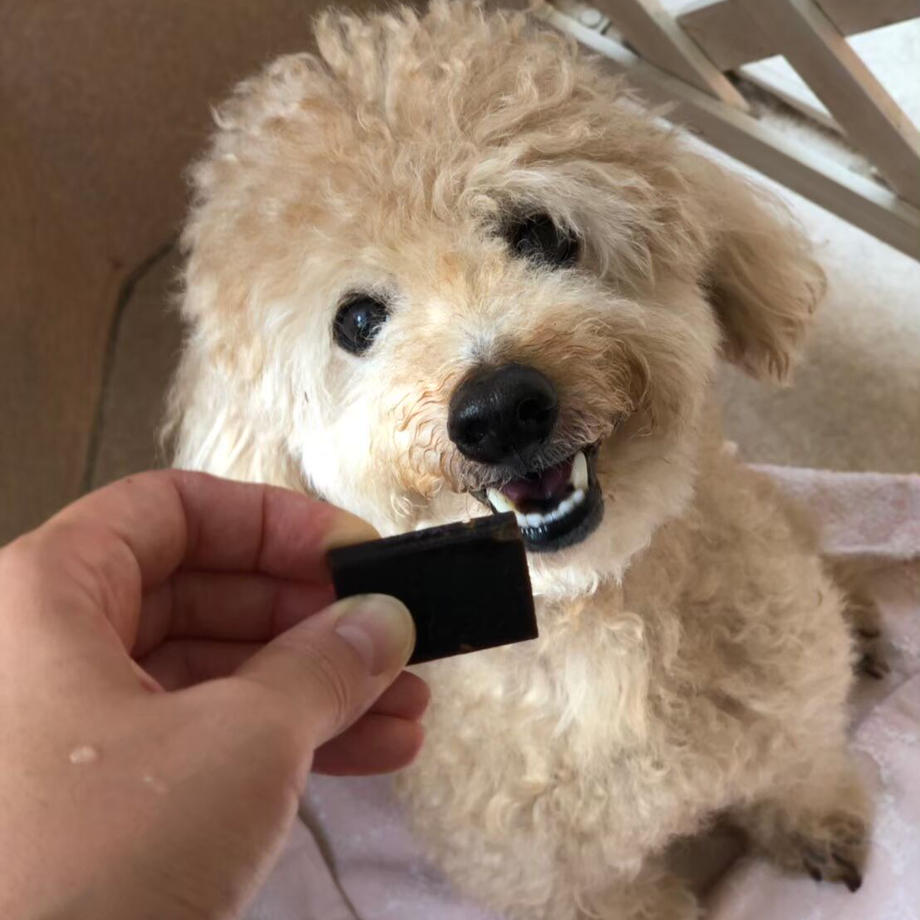 フォーキャンス ニュートリショントリーツ 目 & 涙 240g 犬 おやつ 健康 犬用 スナック 目 眼 栄養 アントシアニン ルテイン 個包装