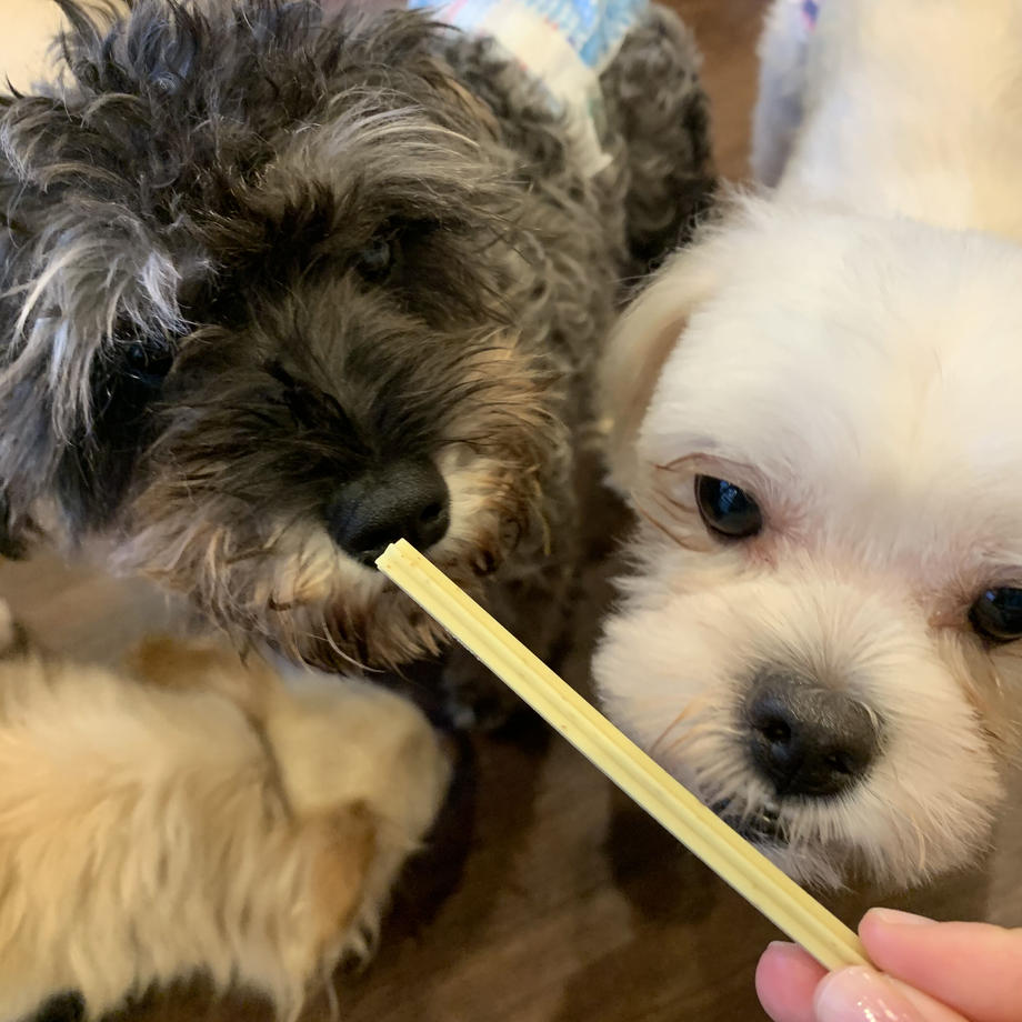 フォーキャンス ハッピー・スリーフェアリー かむヨーグルト 青リンゴ 14本入 犬 おやつ 健康 犬用 歯みがき ガム スナック 乳酸菌 フルーツ デンタル