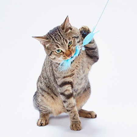 ペティオ ヘルス プログラム キャットトリーツじゃらし 猫 じゃらし 猫用 おもちゃ トイ ストレス発散 運動不足