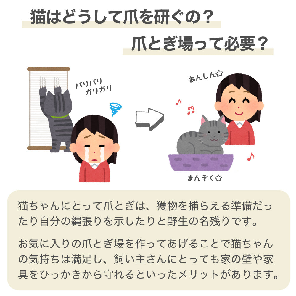 猫用 爪とぎ ねこねこTV 猫 段ボール ベッド ソファ ハウス スクラッチャー ねこ おもちゃ ストレス解消 キャット テレビ ダンボール リラックス