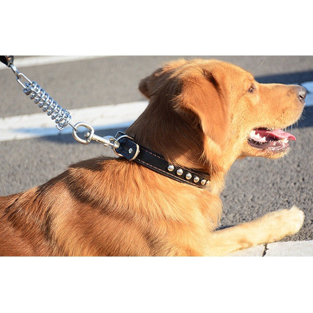 大型犬用 革風 編みこみリード カラー セット 犬 首輪 引き紐 レザー 合皮 丈夫 ショック吸収機能付き 散歩 お出かけ