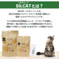 シルキャット 猫用 3gX30包 シルクサプリメント 猫 サプリ 腎臓ケア 腎ケア ニオイ対策 国産 無添加 アレルゲンフリー オーガニックシルク GMP認定工場 無味無臭 液体 ふりかけ トッピング 簡単 安心 安全 シルクフル SILCAT