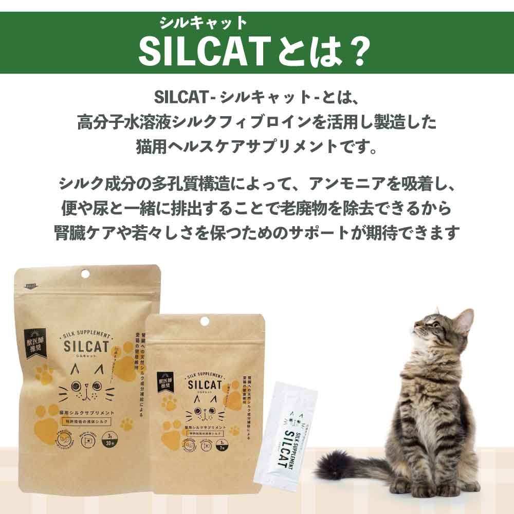 シルキャット 猫用 3gX30包 シルクサプリメント 猫 サプリ 腎臓ケア 腎ケア ニオイ対策 国産 無添加 アレルゲンフリー オーガニックシルク GMP認定工場 無味無臭 液体 ふりかけ トッピング 簡単 安心 安全 シルクフル SILCAT