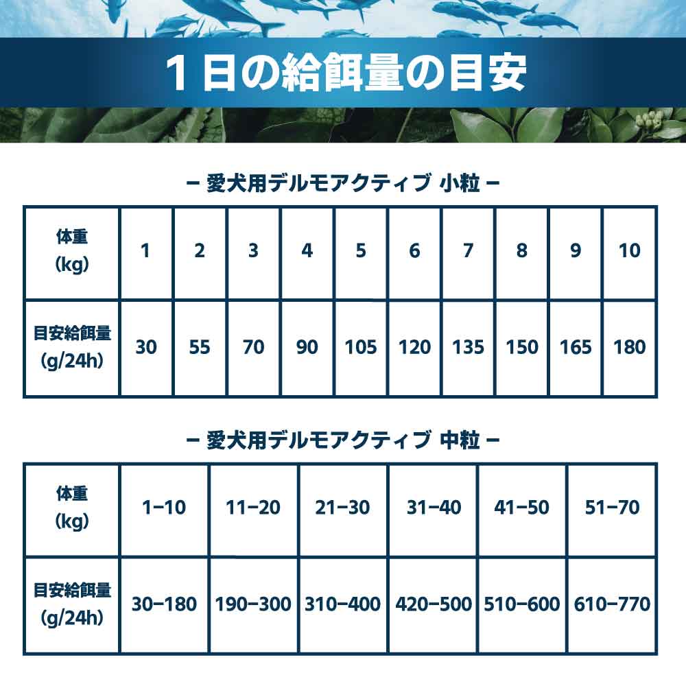 フォルツァ10 アクティブライン デルモアクティブ 中粒 10kg 犬 フード ドッグフード 皮膚 被毛 スキンケア 犬用 フード ドライ 小粒 食事療法食 無添加 FORZA10