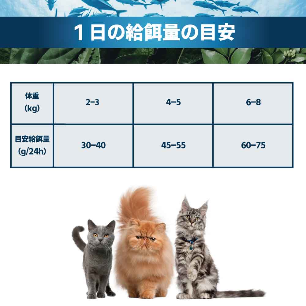フォルツァ10 アクティブライン ハイポアレルジェニック アクティブ キャット 小粒 1.5kg 猫 フード キャットフード 皮膚 被毛 スキンケア 猫用 フード ドライ 食事療法食 無添加 FORZA10