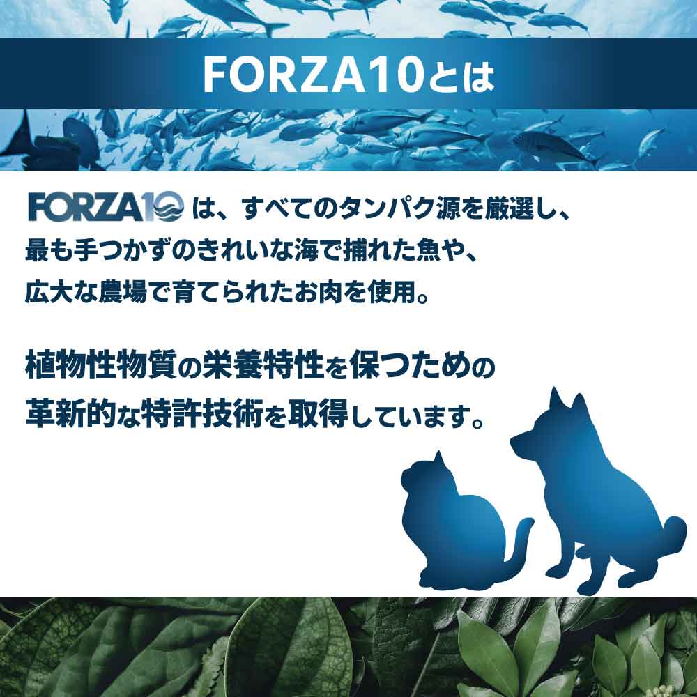 フォルツァ10 アクティブライン インテスティナルアクティブ 小粒 1.5kg 犬 フード ドッグフード 胃腸 消化 乳酸菌 犬用 フード ドライ 小粒 食事療法食 無添加 FORZA10