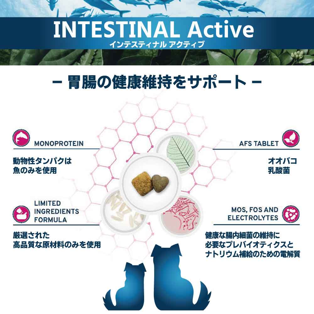 フォルツァ10 アクティブライン インテスティナルアクティブ 小粒 1.5kg 犬 フード ドッグフード 胃腸 消化 乳酸菌 犬用 フード ドライ 小粒 食事療法食 無添加 FORZA10