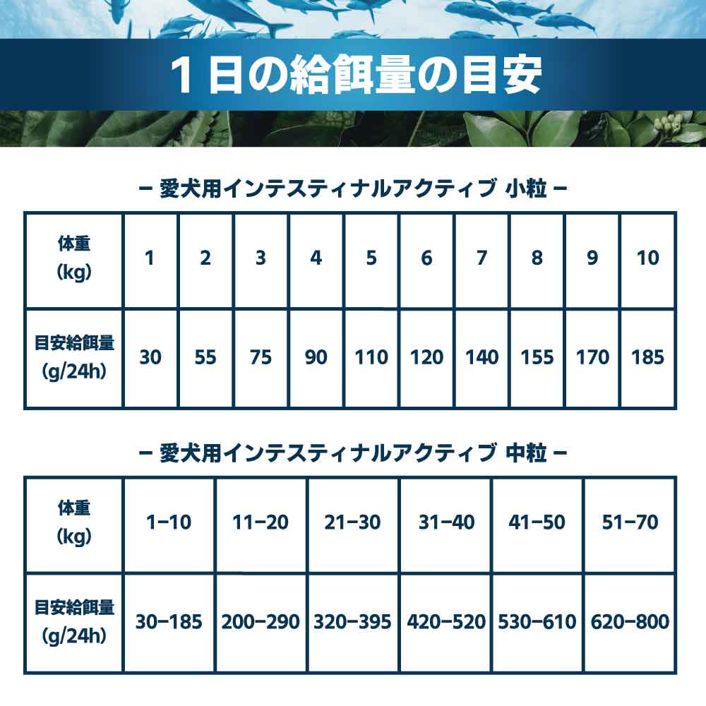 フォルツァ10 アクティブライン インテスティナルアクティブ 小粒 1.5kg 犬 フード ドッグフード 胃腸 消化 乳酸菌 犬用 フード ドライ 小粒 食事療法食 無添加 FORZA10