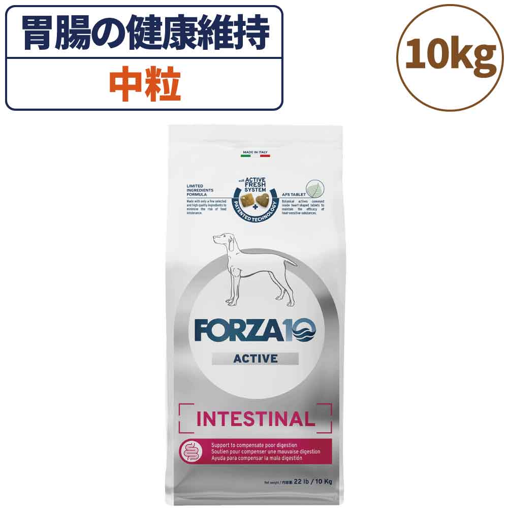 フォルツァ10 アクティブライン インテスティナルアクティブ 中粒 10kg 犬 フード ドッグフード 胃腸 消化 乳酸菌 犬用 フード ドライ 小粒 食事療法食 無添加 FORZA10