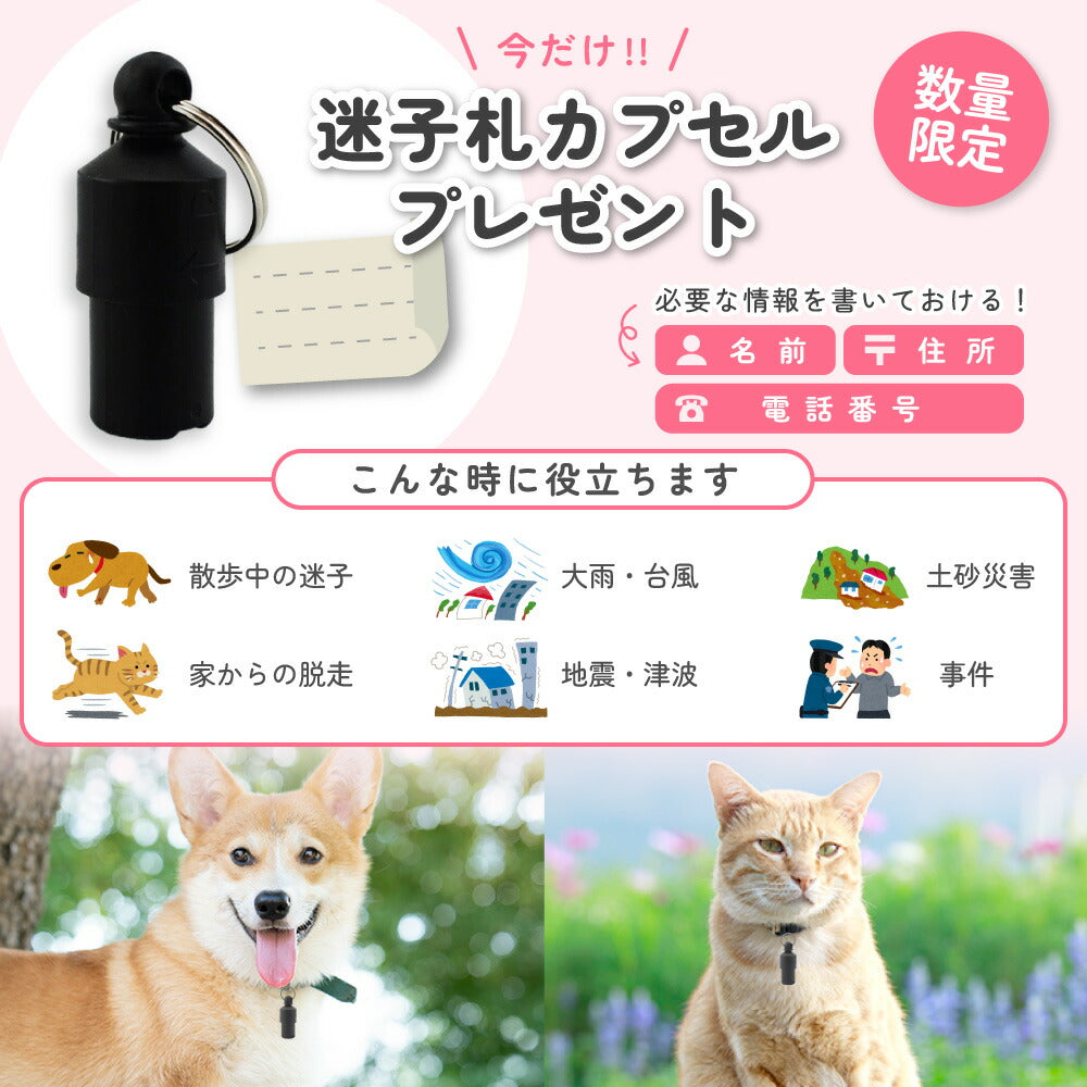 ラムール 猫 ハーネス 抜けない ダブルロック つけやすい 外れない リード付き 猫用 軽量 軽い 胴輪 散歩 お出かけ 通院 災害 避難 かわいい ウエアハーネス マジックテープ ペット サイズ交換可