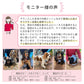 ラムール 犬 ハーネス 負担が少ない 抜けない つけやすい 外れない リード 一体型 小型犬 中型犬 大型犬 着脱簡単 メッシュ 通気性 蒸れない 胴輪 散歩 お出かけ 通院 災害 避難 かわいい おしゃれ ドッグハーネス バックル ペット サイズ交換可