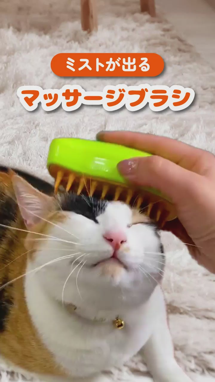 キャット スチームブラシ グリーン USB充電 マッサージ 犬 猫 用 - お