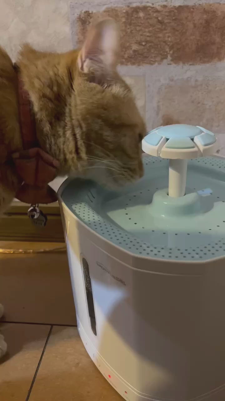 PETREE ペッツリー 猫 犬 ペット 浄水 自動給水器 自動水やり器 自動水