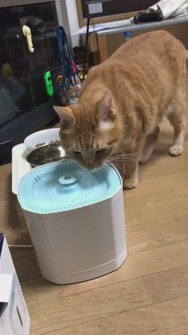 ピュアシス 犬 猫 自動給水器 ペット 自動 給水器 水飲み器 水飲み