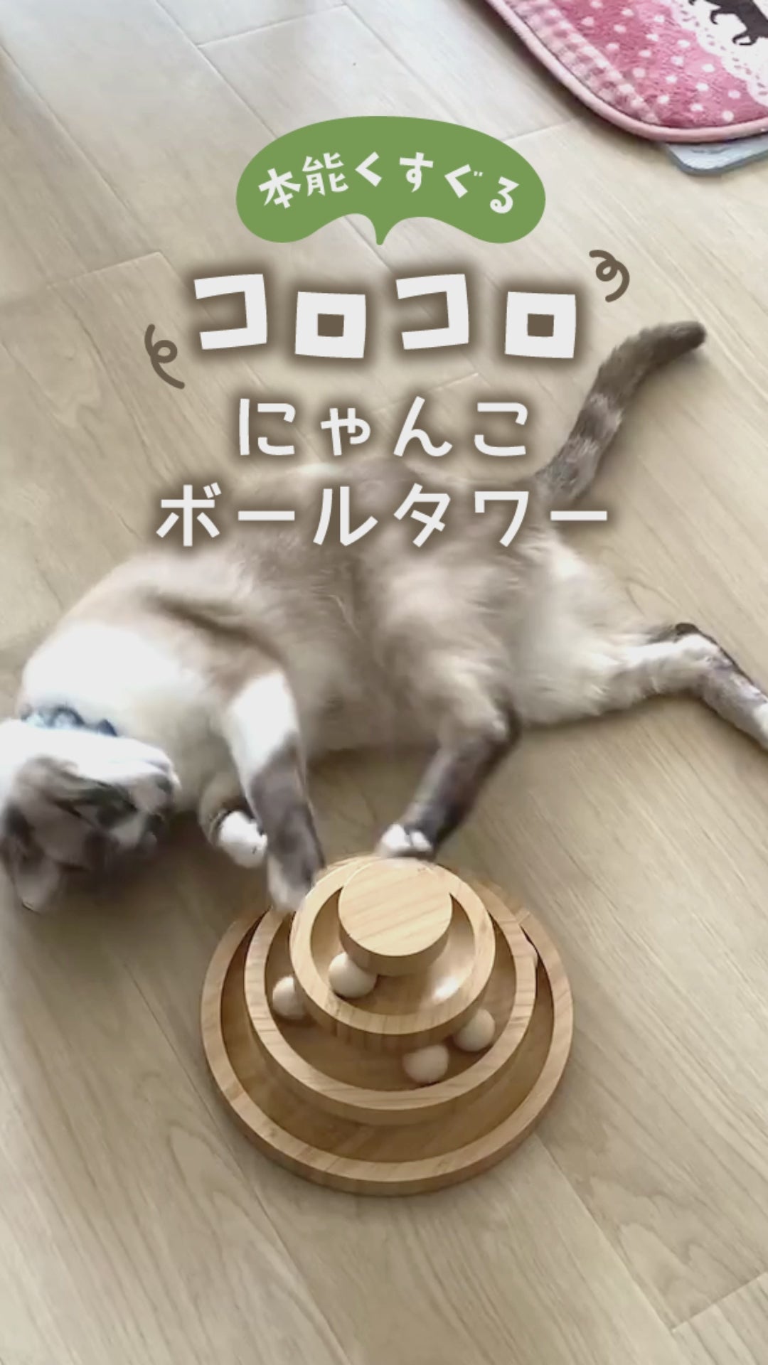 コロコロ にゃんこ ボールタワー 猫 ネコ おもちゃ 猫じゃらし ボール