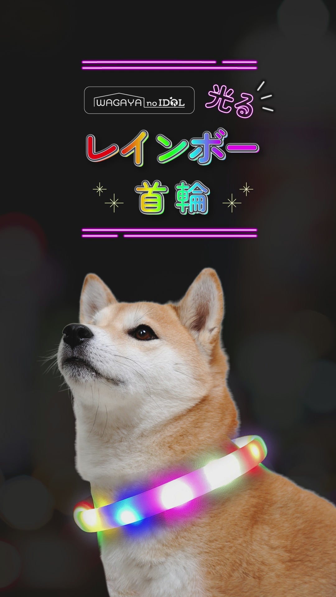 光る レインボー首輪 ペット 犬 猫 首輪 カラー 光る 虹色 6色 LED