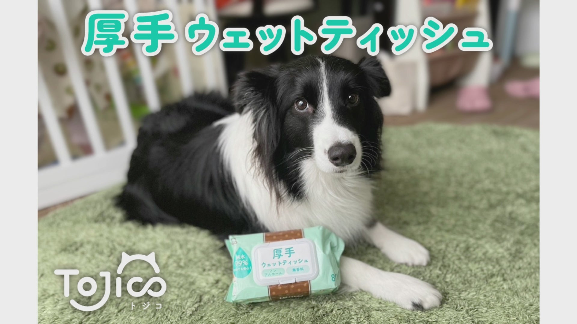 トジコ ペット 厚手 ウェットティッシュ ウェットシート 80枚入 6個 犬 猫 小動物 ノンアルコール 無香料 純水 99％ 安心 大判 –  ハピポート