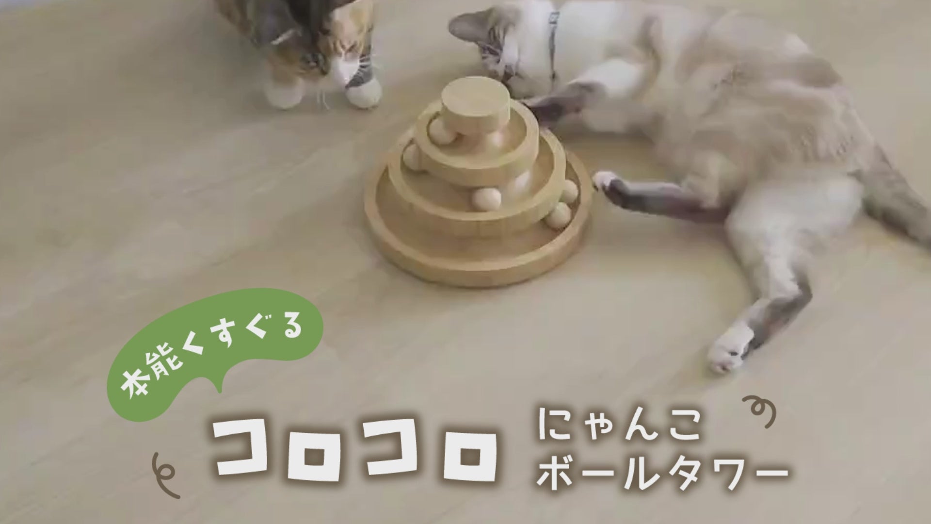 コロコロ にゃんこ ボールタワー 猫 ネコ おもちゃ 猫じゃらし