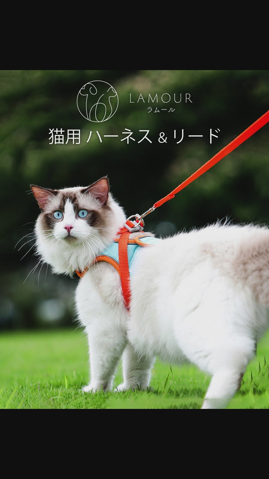 ネコ ラムール 猫 ハーネス 抜けない ダブルロック つけやすい 外れない