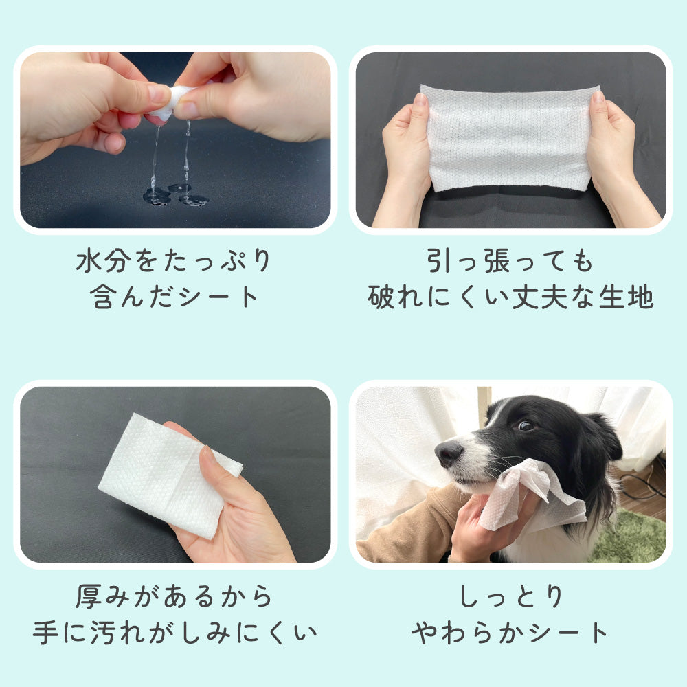 トジコ ペット 厚手 ウェットティッシュ ウェットシート 80枚入 3個 犬 猫 小動物 ノンアルコール 無香料 純水 99％ 安心 大判 おしりふき 口ふき ふた 大容量