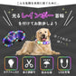 光る レインボー首輪 ペット 犬 猫 首輪 カラー 光る 虹色 6色 LED ライト サイズ調整可能 USB充電 夜間 散歩 安全 防犯 小型犬 中型犬 大型犬 わが家のアイドル