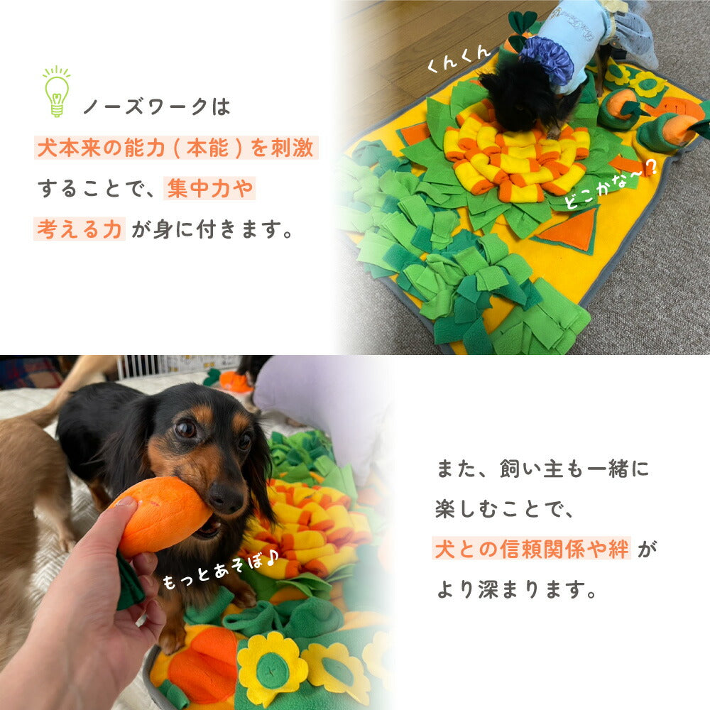 犬 ストア 知育 マット