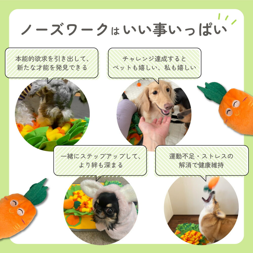 ノーズワーク マット にんじん畑 にんじん 犬 犬用 おもちゃ 知育玩具