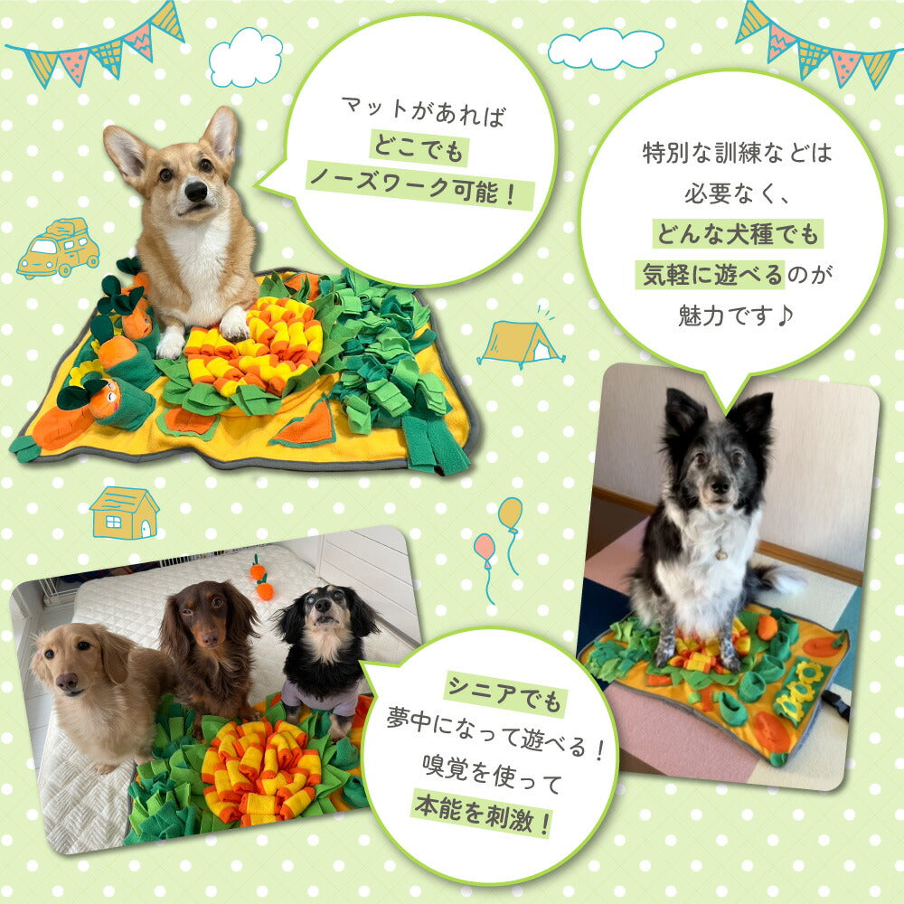 にんじん畑 ノーズワーク ペット 犬 猫 おもちゃ マット おもちゃ 知育玩具 知育トイ にんじん 運動不足 嗅覚訓練 おやつ隠し 音が鳴る ぬいぐるみ 手洗い可