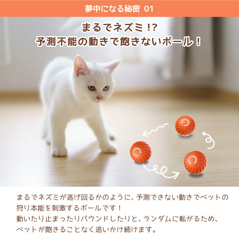 袋の中のねずみボール 猫 ねこ ネコ おもちゃ 一人遊び 電動 自動 猫じゃらし ボール オモチャ ストレス解消 運動不足解消 電池不要 USB充電 ペット用品