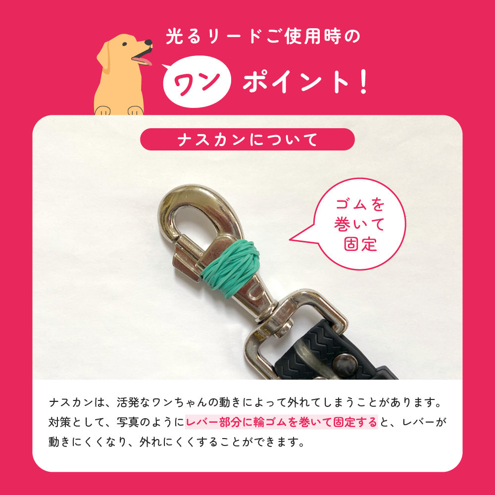 光る レインボーリード 犬 ドッグ リード 紐 光るリード LED 光る ライト ペット リード 光 虹色 6色 LED 点灯 点滅 蛍光 USB 充電 充電式 夜間 散歩 安全 防犯 事故防止 小型犬 中型犬 大型犬 おしゃれ かわいい ピカピカ 夜の散歩 夜散歩 イルミネーション