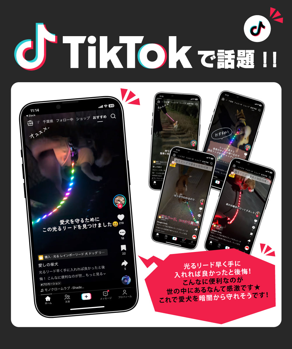 光る レインボーリード 犬 ドッグ リード 紐 光るリード LED 光る ライト ペット リード 光 虹色 6色 LED 点灯 点滅 蛍光 USB 充電 充電式 夜間 散歩 安全 防犯 事故防止 小型犬 中型犬 大型犬 おしゃれ かわいい ピカピカ 夜の散歩 夜散歩 イルミネーション