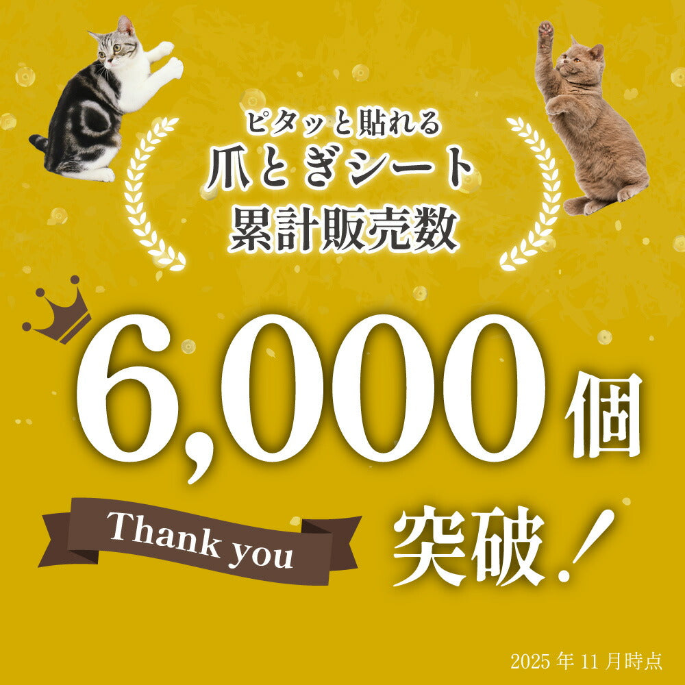 ピタッと貼れる 爪とぎシート 猫 猫用 爪とぎ 爪研ぎ ひっかき 引っ掻き 防止 シート カバー シール はがせる マット カーペット ソファ ソファー ベッド 床 畳 ドア 家具 壁 壁紙 柱 保護 傷防止 ストレス解消 貼付け 好きなサイズにカット可能 70 x 100cm