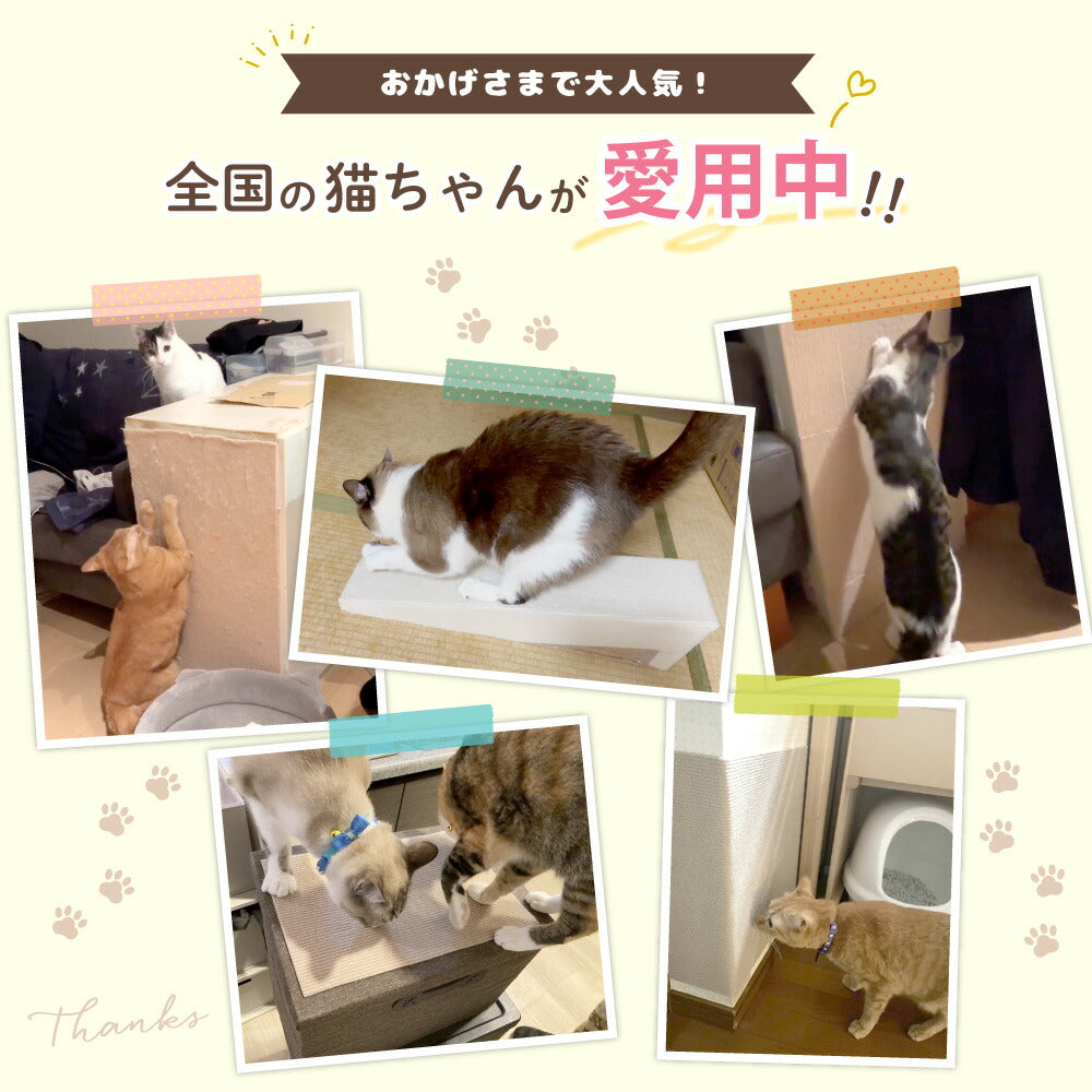 ピタッと貼れる 爪とぎシート 猫 猫用 爪とぎ 爪研ぎ ひっかき 引っ掻き 防止 シート カバー シール はがせる マット カーペット ソファ ソファー ベッド 床 畳 ドア 家具 壁 壁紙 柱 保護 傷防止 ストレス解消 貼付け 好きなサイズにカット可能 70 x 100cm