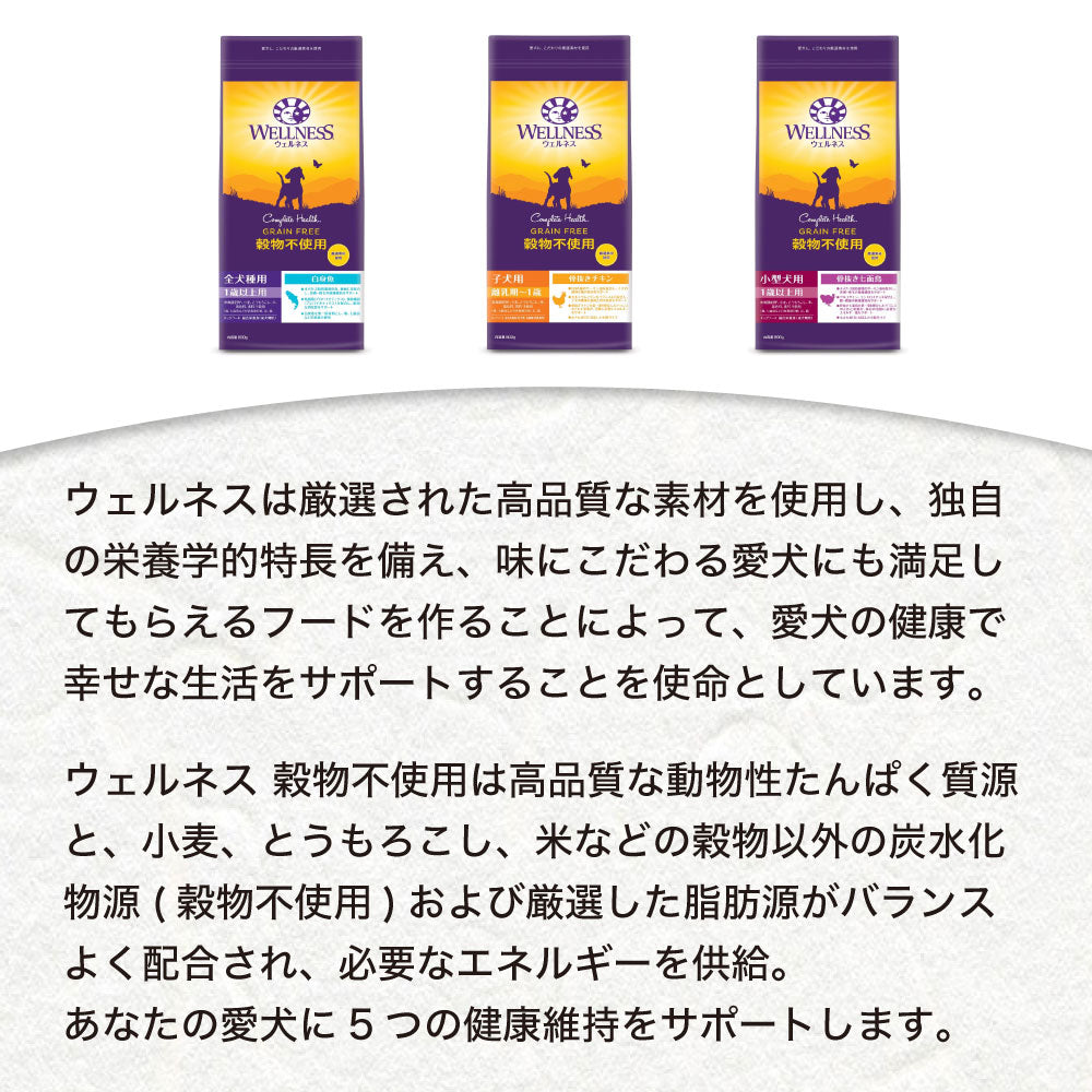 ウェルネス 穀物不使用 全犬種用 1歳以上用 白身魚 800g 犬 ドッグフード 犬用フード グレインフリー アダルト 成犬用 着色料不使用 香料不使用 WELLNESS