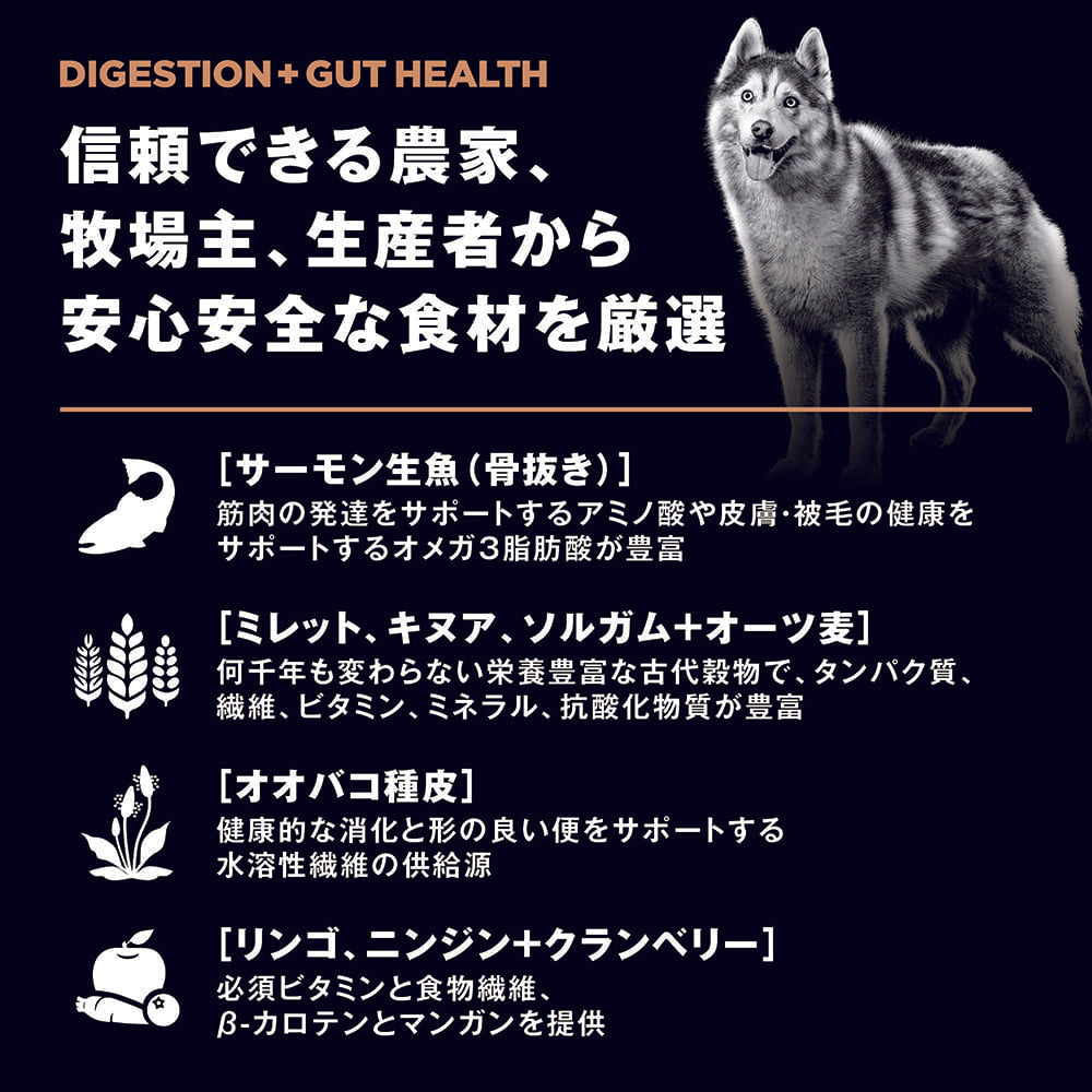 GO! ゴー 消化+腸の健康ケア 古代穀物を使用したサーモンレシピ 9.98kg 犬 犬用フード ドッグフード ドライ 腸内環境 プロバイオティクス 無添加