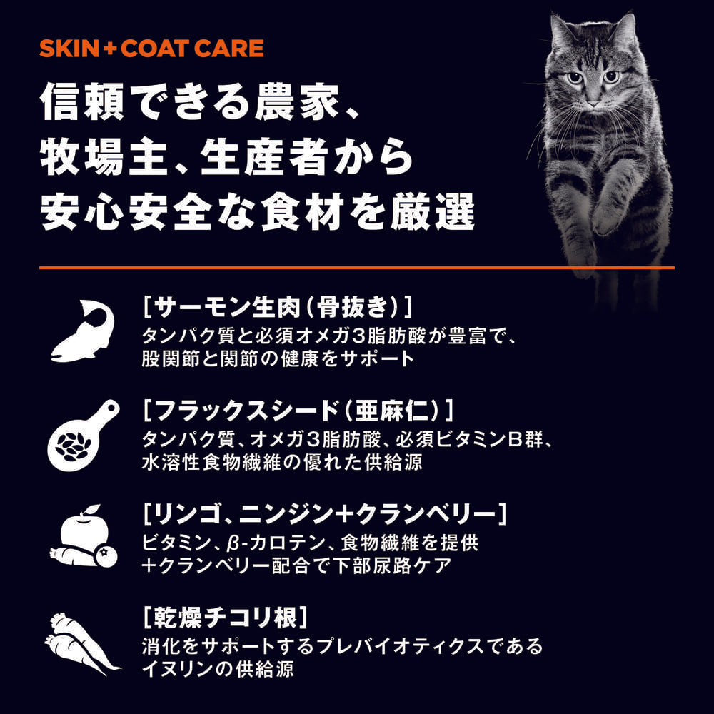 GO! ゴー 皮膚+被毛ケアキャット グレインフリー サーモンレシピ 7.25kg 猫 猫用フード キャットフード ドライ スキンケア 無添加