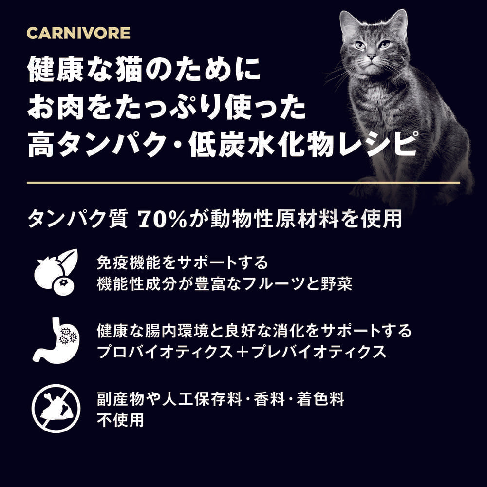 GO! ゴー カーニボアキャット グレインフリー ラム＋ワイルドボアレシピ 7.25kg 猫 猫用フード キャットフード ドライ 高タンパク 低炭水化物 無添加