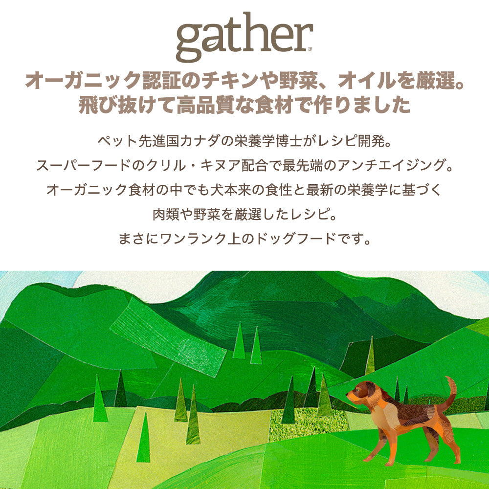 gather!(ギャザー) フリーエーカー 成犬用 2.72kg 犬 フード 犬用 フード ドッグフード オーガニック グレインフリー ポテトフリー オキアミ